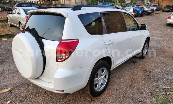 Buy Used Toyota RAV4 White Car in Yaounde in Central Cameroon Buy Used Toyota RAV4 White Car in Yaounde in Central Cameroon