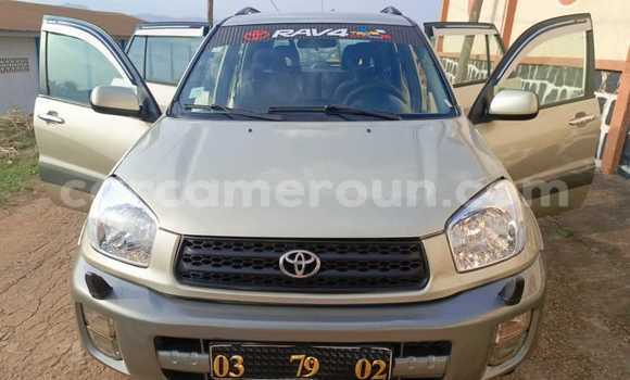 Sayi Na hannu Toyota RAV4 Azurfa Mota in Yaounde a Babban Kamaru Sayi Na hannu Toyota RAV4 Azurfa Mota in Yaounde a Babban Kamaru