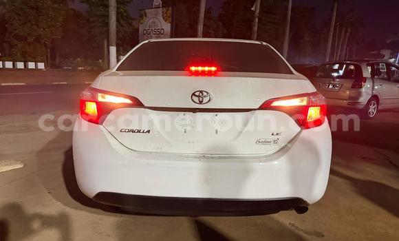 Acheter Occasion Voiture Toyota Corolla Blanc à Yaoundé, Central Cameroon Acheter Occasion Voiture Toyota Corolla Blanc à Yaoundé, Central Cameroon