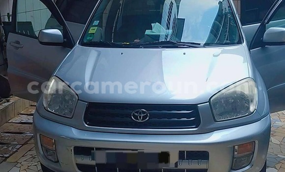 Buy Used Toyota RAV4 Silver Car in Douala in Littoral Cameroon