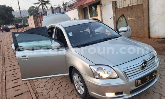 Buy Used Toyota Avensis Silver Car in Yaounde in Central Cameroon
