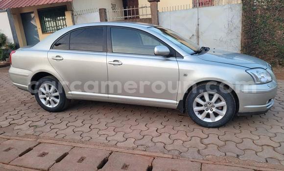 Buy Used Toyota Avensis Silver Car in Yaounde in Central Cameroon Buy Used Toyota Avensis Silver Car in Yaounde in Central Cameroon