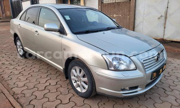 Buy Used Toyota Avensis Silver Car in Yaounde in Central Cameroon Buy Used Toyota Avensis Silver Car in Yaounde in Central Cameroon