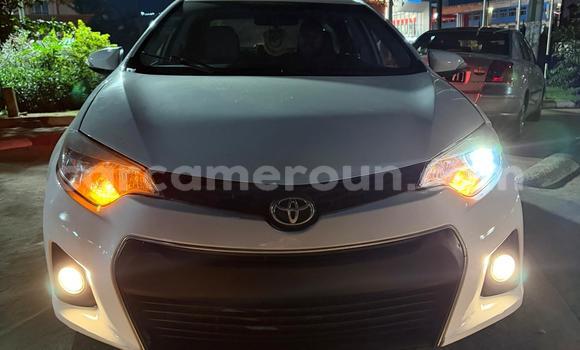Buy Used Toyota Corolla White Car in Yaounde in Central Cameroon