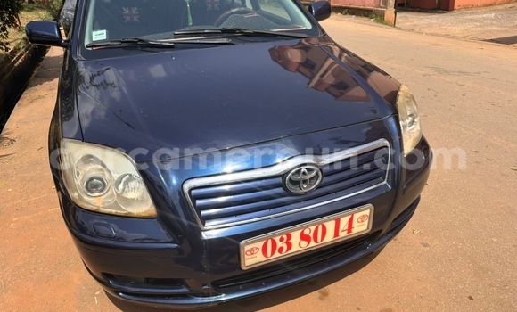 Buy Used Toyota Avensis Blue Car in Yaounde in Central Cameroon