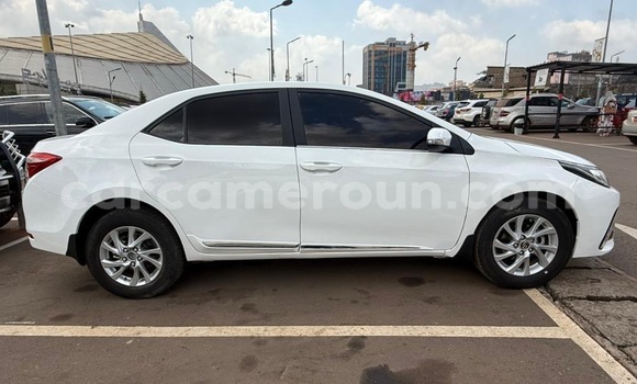 Acheter Neuf Voiture Toyota Corolla Blanc à Yaoundé, Central Cameroon Acheter Neuf Voiture Toyota Corolla Blanc à Yaoundé, Central Cameroon