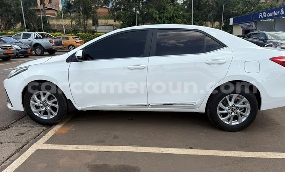 Acheter Neuf Voiture Toyota Corolla Blanc à Yaoundé, Central Cameroon Acheter Neuf Voiture Toyota Corolla Blanc à Yaoundé, Central Cameroon