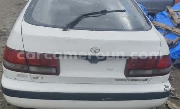 Acheter Import Voiture Toyota Carina E Blanc à Douala, Littoral Cameroon Acheter Import Voiture Toyota Carina E Blanc à Douala, Littoral Cameroon