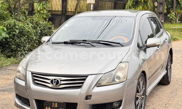 Buy Used Toyota Blade Silver Car in Douala in Littoral Cameroon
