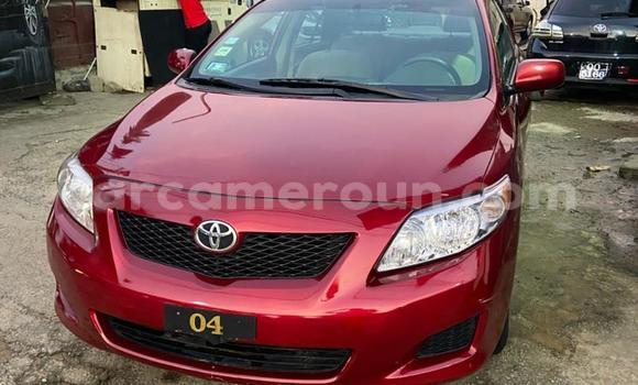 Acheter Import Voiture Toyota Corolla Rouge à Douala, Littoral Cameroon