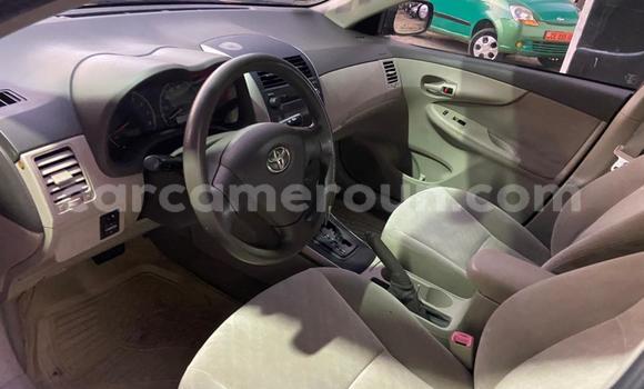 Acheter Import Voiture Toyota Corolla Rouge à Douala, Littoral Cameroon Acheter Import Voiture Toyota Corolla Rouge à Douala, Littoral Cameroon