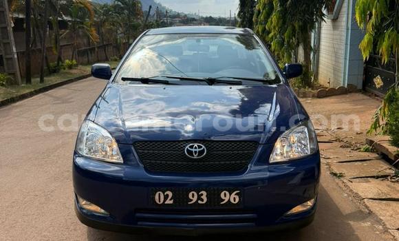 Sayi Na hannu Toyota Corolla Blue Mota in Yaounde a Babban Kamaru Sayi Na hannu Toyota Corolla Blue Mota in Yaounde a Babban Kamaru