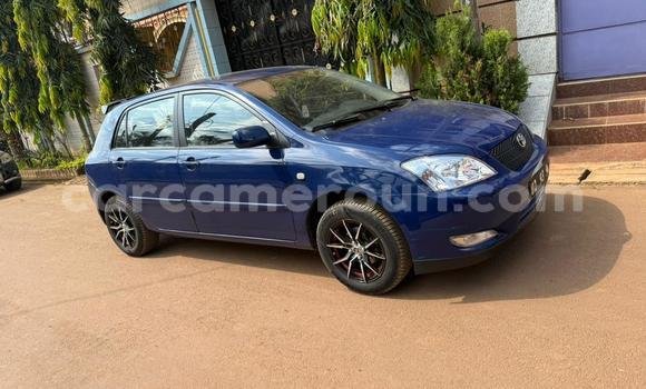 Sayi Na hannu Toyota Corolla Blue Mota in Yaounde a Babban Kamaru Sayi Na hannu Toyota Corolla Blue Mota in Yaounde a Babban Kamaru