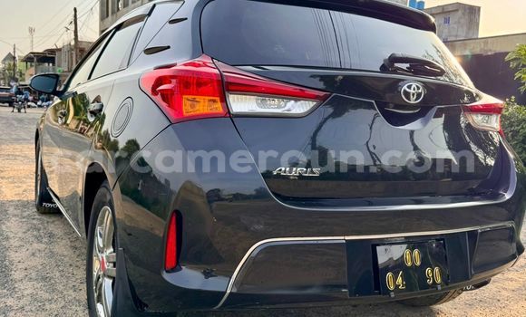 Acheter Occasion Voiture Toyota Auris Noir à Douala, Littoral Cameroon Acheter Occasion Voiture Toyota Auris Noir à Douala, Littoral Cameroon