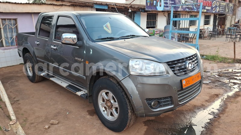 Big with watermark great wall wingle central cameroon yaounde 21726