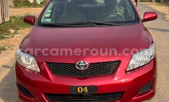 Buy Import Toyota Corolla Red Car in Douala in Littoral Cameroon Buy Import Toyota Corolla Red Car in Douala in Littoral Cameroon