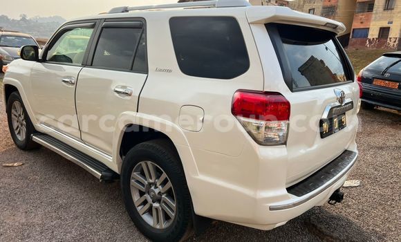 Acheter Occasion Voiture Toyota 4Runner Blanc à Yaoundé, Central Cameroon Acheter Occasion Voiture Toyota 4Runner Blanc à Yaoundé, Central Cameroon