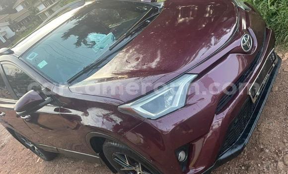 Buy Used Toyota RAV4 Red Car in Yaounde in Central Cameroon