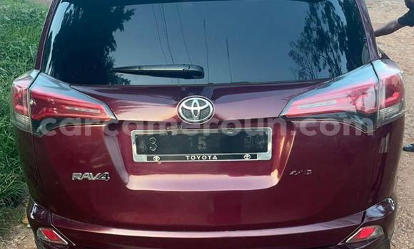 Acheter Occasion Voiture Toyota RAV4 Rouge à Yaoundé, Central Cameroon Acheter Occasion Voiture Toyota RAV4 Rouge à Yaoundé, Central Cameroon