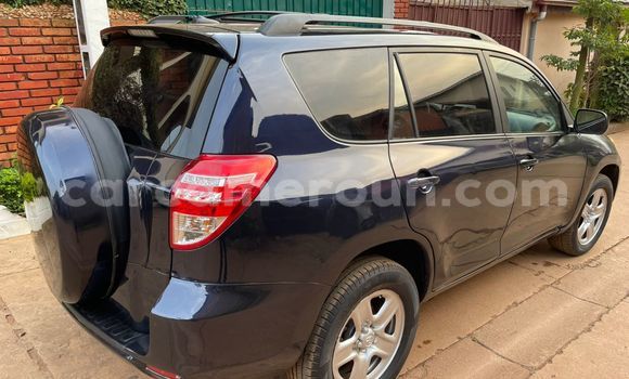 Acheter Occasion Voiture Toyota RAV4 Noir à Yaoundé, Central Cameroon Acheter Occasion Voiture Toyota RAV4 Noir à Yaoundé, Central Cameroon