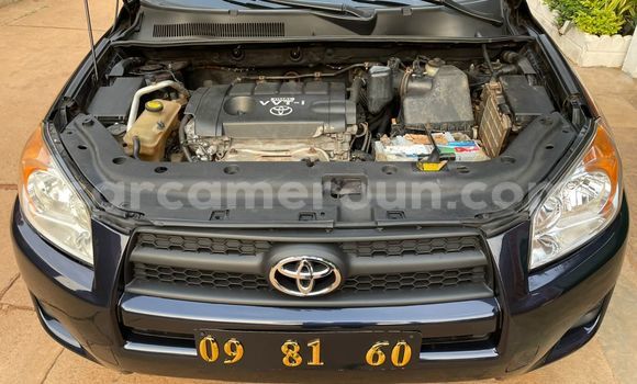 Acheter Occasion Voiture Toyota RAV4 Noir à Yaoundé, Central Cameroon Acheter Occasion Voiture Toyota RAV4 Noir à Yaoundé, Central Cameroon