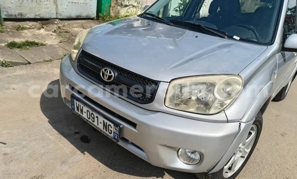 Sayi Na hannu Toyota RAV4 Azurfa Mota in Douala a Ƙasar Kamaru