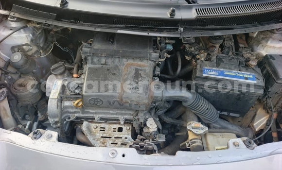 Buy Used Toyota Vitz Other Car in Yaounde in Central Cameroon Buy Used Toyota Vitz Other Car in Yaounde in Central Cameroon