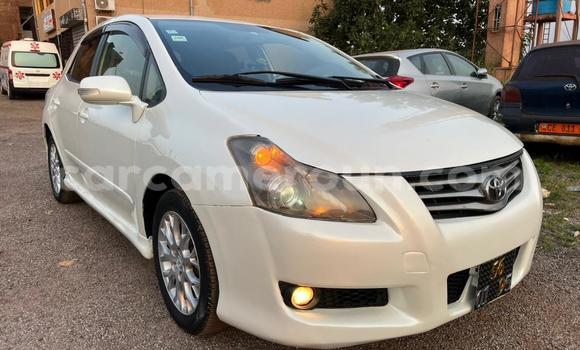 Buy Used Toyota Blade White Car in Yaounde in Central Cameroon Buy Used Toyota Blade White Car in Yaounde in Central Cameroon