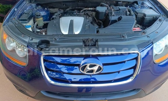 Buy Used Hyundai Santa Fe Blue Car in Yaounde in Central Cameroon Buy Used Hyundai Santa Fe Blue Car in Yaounde in Central Cameroon