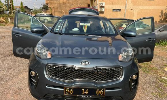 Buy Used Kia Sportage Black Car in Yaounde in Central Cameroon Buy Used Kia Sportage Black Car in Yaounde in Central Cameroon
