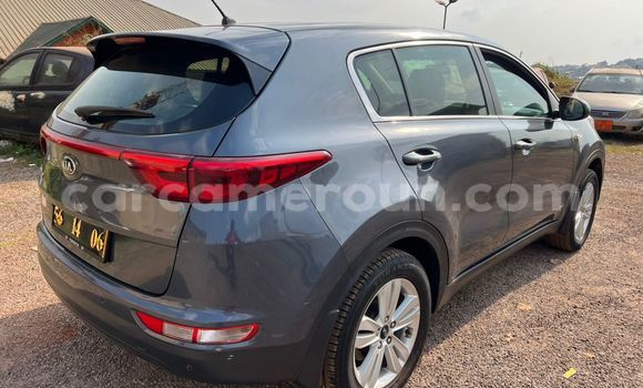 Buy Used Kia Sportage Black Car in Yaounde in Central Cameroon Buy Used Kia Sportage Black Car in Yaounde in Central Cameroon