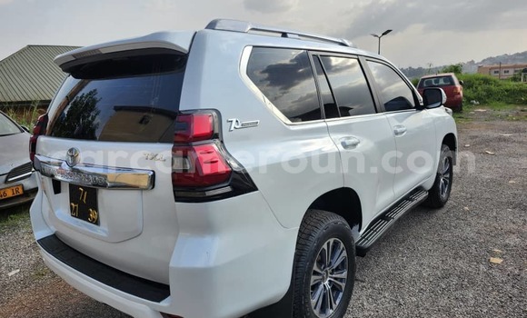 Buy Used Toyota Land Cruiser Prado White Car in Yaounde in Central Cameroon Buy Used Toyota Land Cruiser Prado White Car in Yaounde in Central Cameroon