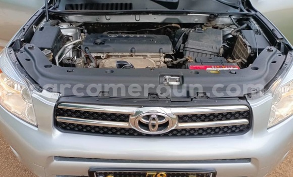 Buy Used Toyota RAV4 Silver Car in Yaounde in Central Cameroon Buy Used Toyota RAV4 Silver Car in Yaounde in Central Cameroon
