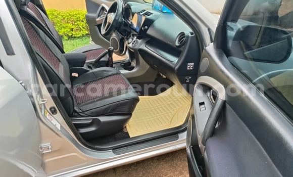 Buy Used Toyota RAV4 Silver Car in Yaounde in Central Cameroon Buy Used Toyota RAV4 Silver Car in Yaounde in Central Cameroon
