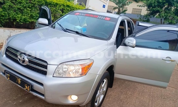 Buy Used Toyota RAV4 Silver Car in Yaounde in Central Cameroon Buy Used Toyota RAV4 Silver Car in Yaounde in Central Cameroon