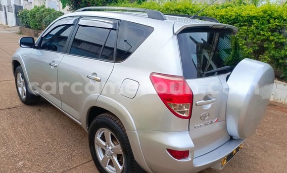Buy Used Toyota RAV4 Silver Car in Yaounde in Central Cameroon Buy Used Toyota RAV4 Silver Car in Yaounde in Central Cameroon