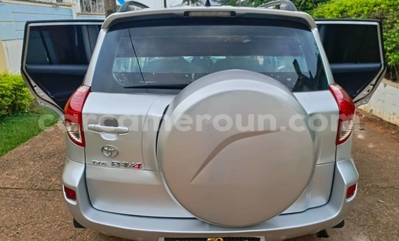 Buy Used Toyota RAV4 Silver Car in Yaounde in Central Cameroon Buy Used Toyota RAV4 Silver Car in Yaounde in Central Cameroon