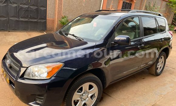 Acheter Occasion Voiture Toyota RAV4 Noir à Yaoundé, Central Cameroon