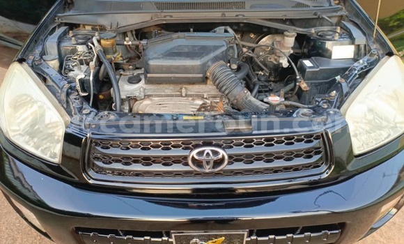 Buy Used Toyota RAV4 Black Car in Yaounde in Central Cameroon Buy Used Toyota RAV4 Black Car in Yaounde in Central Cameroon