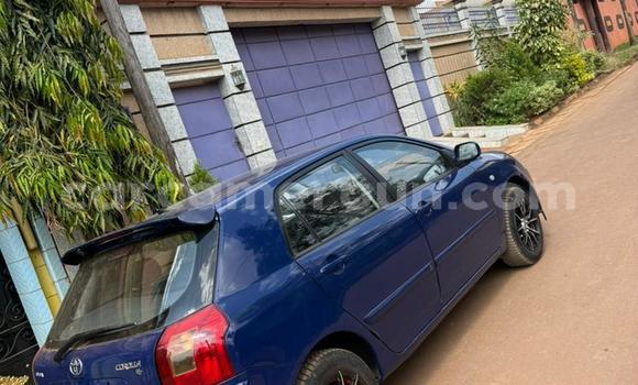 Sayi Na hannu Toyota Corolla Blue Mota in Yaounde a Babban Kamaru Sayi Na hannu Toyota Corolla Blue Mota in Yaounde a Babban Kamaru