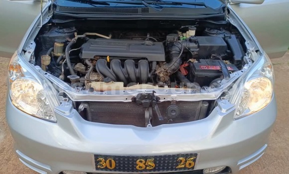 Buy Used Toyota Matrix Silver Car in Yaounde in Central Cameroon Buy Used Toyota Matrix Silver Car in Yaounde in Central Cameroon
