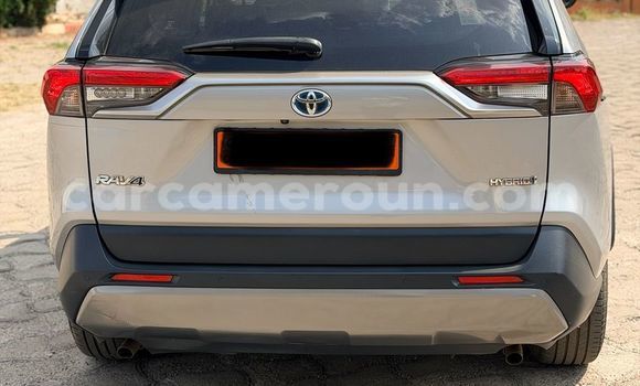 Acheter Occasion Voiture Toyota RAV4 Gris à Yaoundé, Central Cameroon Acheter Occasion Voiture Toyota RAV4 Gris à Yaoundé, Central Cameroon