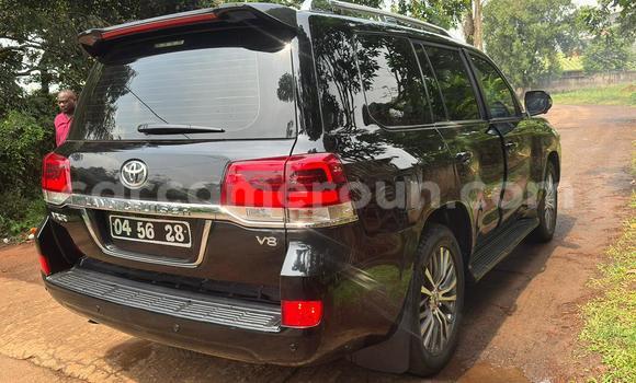 Buy Import Toyota Land Cruiser Black Car in Yaounde in Central Cameroon Buy Import Toyota Land Cruiser Black Car in Yaounde in Central Cameroon