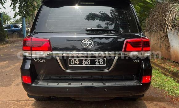 Buy Import Toyota Land Cruiser Black Car in Yaounde in Central Cameroon Buy Import Toyota Land Cruiser Black Car in Yaounde in Central Cameroon