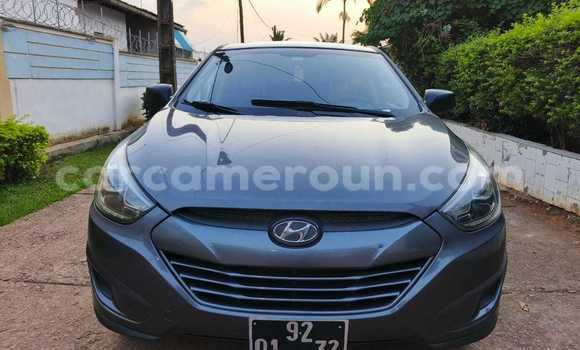 Buy Used Hyundai Tucson Black Car in Yaounde in Central Cameroon Buy Used Hyundai Tucson Black Car in Yaounde in Central Cameroon