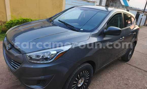 Buy Used Hyundai Tucson Black Car in Yaounde in Central Cameroon Buy Used Hyundai Tucson Black Car in Yaounde in Central Cameroon