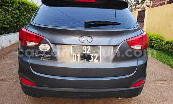 Buy Used Hyundai Tucson Black Car in Yaounde in Central Cameroon Buy Used Hyundai Tucson Black Car in Yaounde in Central Cameroon