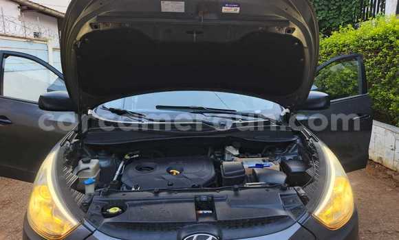 Buy Used Hyundai Tucson Black Car in Yaounde in Central Cameroon Buy Used Hyundai Tucson Black Car in Yaounde in Central Cameroon