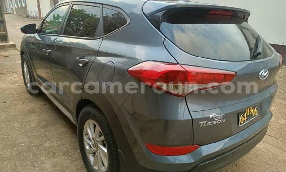 Acheter Occasion Voiture Hyundai Tucson Gris à Yaoundé, Central Cameroon Acheter Occasion Voiture Hyundai Tucson Gris à Yaoundé, Central Cameroon