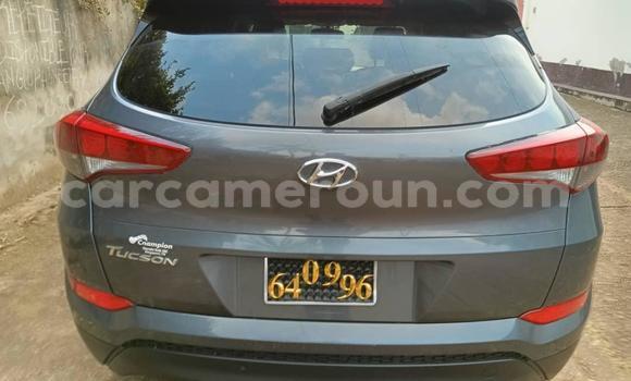 Acheter Occasion Voiture Hyundai Tucson Gris à Yaoundé, Central Cameroon Acheter Occasion Voiture Hyundai Tucson Gris à Yaoundé, Central Cameroon